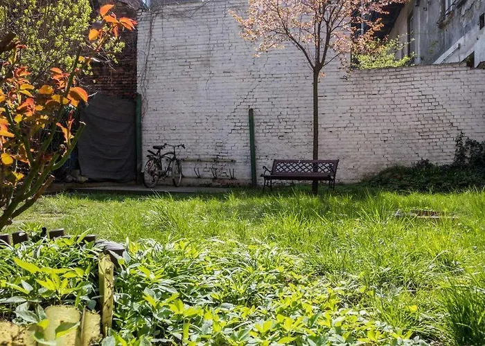 Koletek St